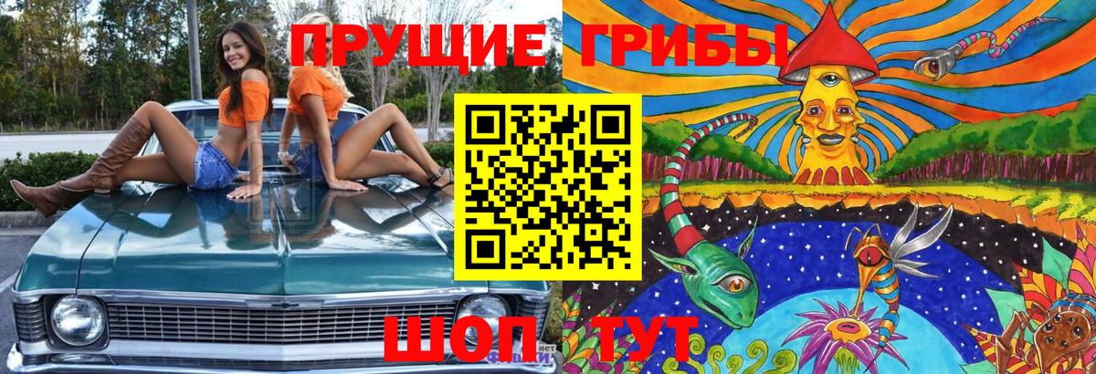 Галлюциногенные грибы ЛСД  Вход с VPN  Галлюциногенные грибы MAGIC MUSHROOMS  Урус-Мартан 
